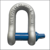 Screw Pin D Shackle - Shackles Manufacturers